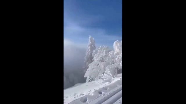 В северной части Кашмира снегопады отрезали от цивилизации десятки деревень смотреть онлайн