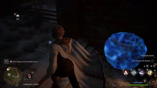 Hogwarts Legacy - Beasts Rescuing, Gameplay Part 20 [1440p QHD 60FPS PC] - No Commentary