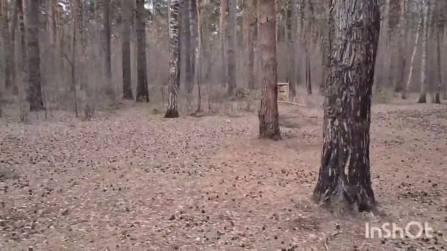 Переезд из Казахстана в Россию. Семейный отдых. Вызов. Мы его уже посмотрели. Сезон открыт. Тюмень.