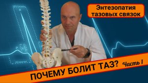 ПОЧЕМУ БОЛИТ ТАЗ? Энтезопатия тазовых связок. (Часть 1)