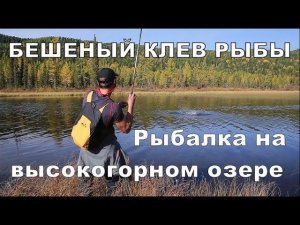 БЕШЕНЫЙ КЛЕВ РЫБЫ НА ГОРНОМ ОЗЕРЕ #16 Рыбалка на спининг. Ленок, хариус и таймень