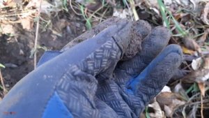 #475 Копаю с Nokta Simplex Ultra на дороге, которая шла на переправу.