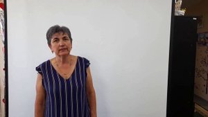 Ирина Злочинская, "Солдатам",читает автор