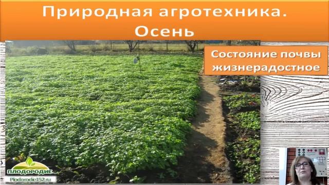 СИДЕРАТЫ ЧАСТЬ 1 (ЗАЧЕМ ОНИ НУЖНЫ) смотреть онлайн