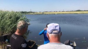 Ловля карпа на фидер и матч HFA