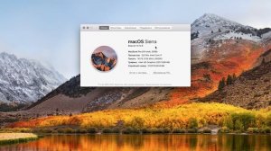 Как узнать версию macOS, модель и серийный номер MacBook