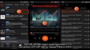 Скачивание книг с ЛитРес