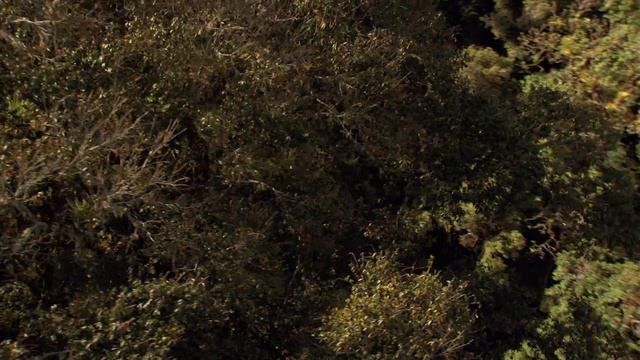 Дом.История путешествия HD Часть 1. смотреть онлайн