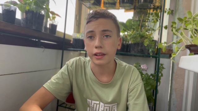 В ЧЁМ ОТЛИЧИЕ ДЕТОВ ОТ ИНДЕТОВ? В чём отличие между томатами?