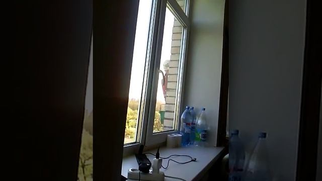 Промальп и Пасха