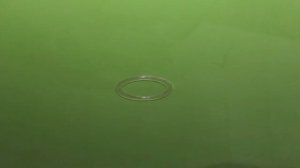 КРУГЛЫЕ ПРОТЕКТОРНЫЕ  ТЕРМОКОЛЬЦА. Обзор от Аста М