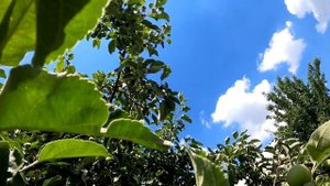 3 признака низковибрационных людей, которые утащат вас на дно.