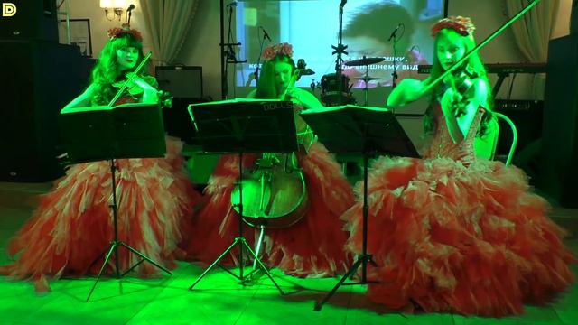 Скрипка на встречу гостей - трио Violin Group DOLLS