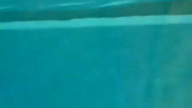 новосибирский зоопарк обезьянки и рыбки видио 1 смотреть онлайн