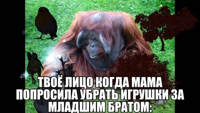 твоё лицо когда мама попросила убрать игрушки за младшим братом: смотреть онлайн