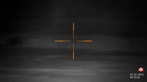 Отлично снял кабана с ночного прицела ATN X SIGHT 2 HD 5 20x