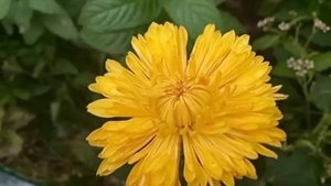 VID_20231022_220254_028.mp4 ?️?️