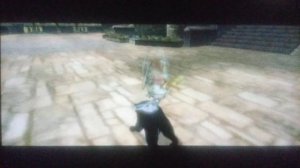 The Legend of Zelda: Twilight Princess (WII-CEL): 50- Sides/ Insetos dourados/ Todos os 24