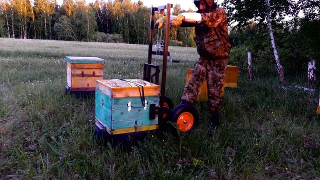 КАК ПЕРЕВОЗИТЬ УЛЬИ С ПЧЁЛАМИ. ПОДРОБНО И ПОШАГОВО. НЕКОТОРЫЕ ХИТРОСТИ смотреть онлайн