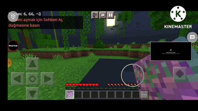 MİNECRAFT Troll Omlet Arcade смотреть онлайн