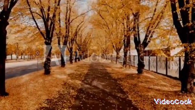 моя планета земля ПРЕКРАСНА СЛАЙД ШОУ смотреть онлайн