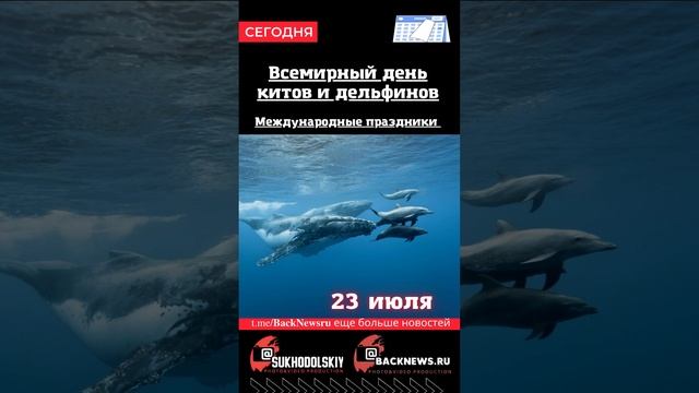 Сегодня, 23 июля, в этот  отмечают праздник Всемирный день китов и дельфинов Международные праздник