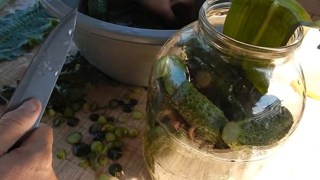 Хрустящие огурчики как из бочки! БЕЗ СТЕРИЛИЗАЦИИ. Самый простой способ соления огурцов в банке.? смотреть онлайн