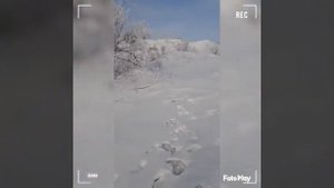 Митсубиси шариот грандис