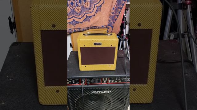 Fender Champion 600 modded into Tweed Champ 5D1 with Mercury Magnetics trannies and 8" Weber speake смотреть онлайн