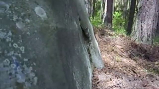 Камень с полосками у подножия одного из каменных городищ. смотреть онлайн