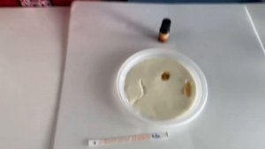 Тест/проверка мороженного на натуральность!