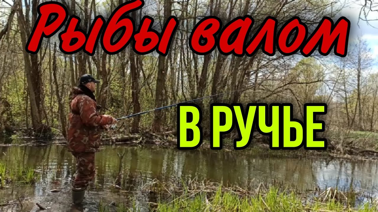 ОТКУДА В РУЧЬЕ СТОЛЬКО РЫБЫ???РЫБАЛКА НА ПОПЛАВОК 2021.ОТКРЫТИЕ СЕЗОНА смотреть онлайн