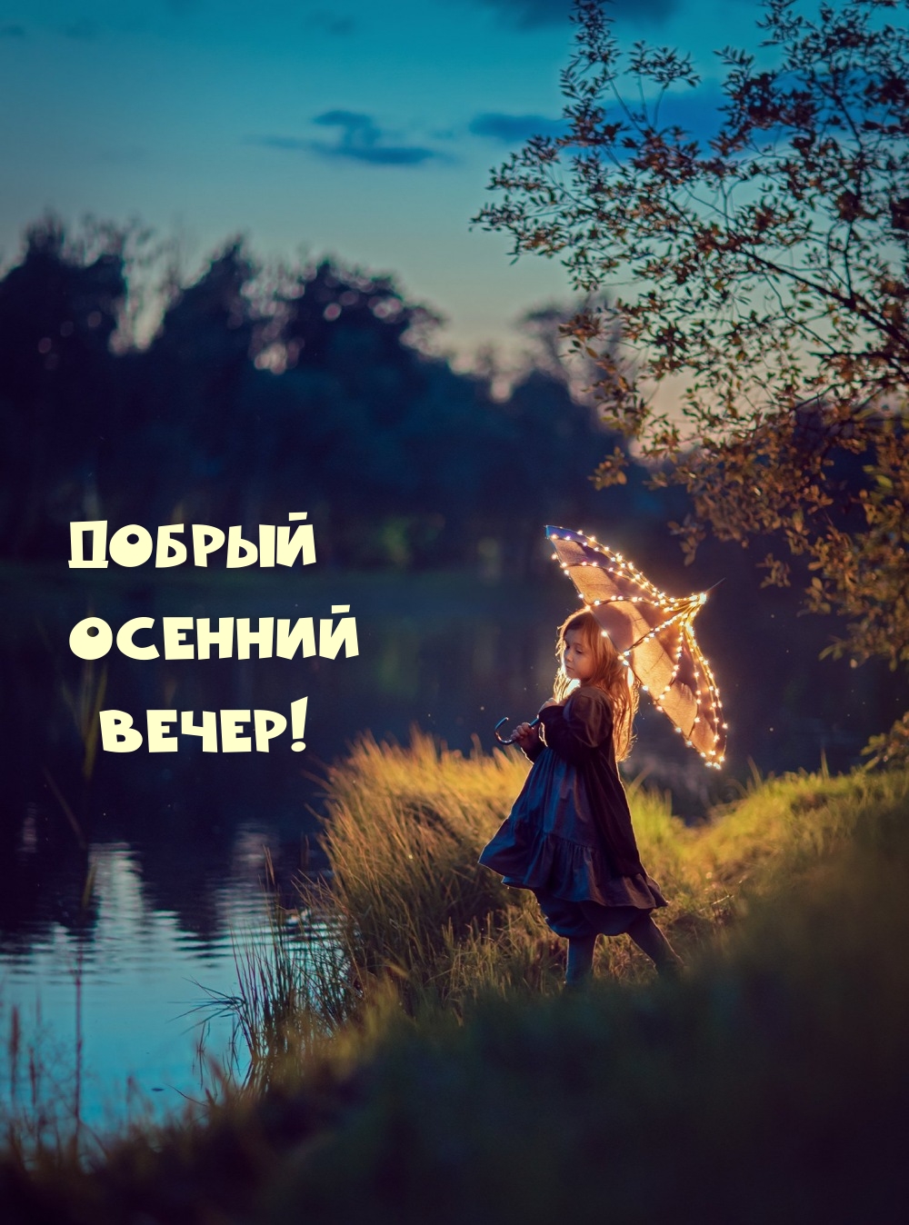 Добрый Вечер! Пусть вечер принесет покой и радость✨