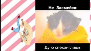 дую спик инглишь