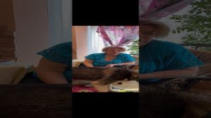 Эпилепсия Хаски