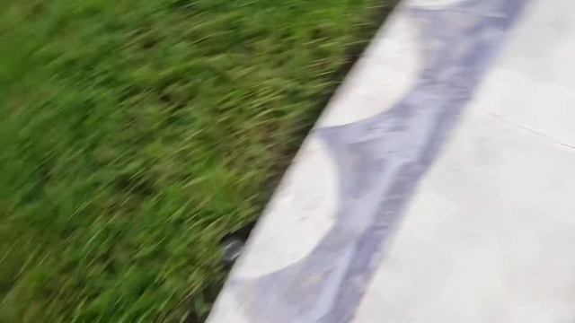 Walking Labyrinth Virtual Tour смотреть онлайн