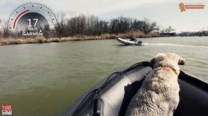 Тест на воде лодка РИВЬЕРА 3600+ мотор Sea-Pro OTH 9.9 S