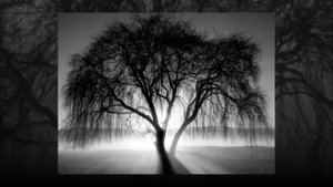 Саят Медеуов - "Мен сені құлай сүйгенмін" [2016]