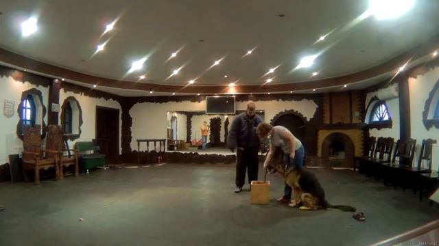 Бас. Немецкая овчарка. Новые провокации. смотреть онлайн