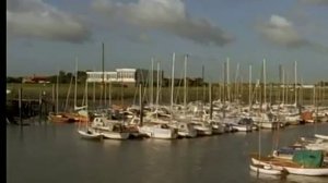 IWF Вывод маток на островах.mp4