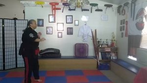American Kenpo Karate Blue Belt Techniques #13-24