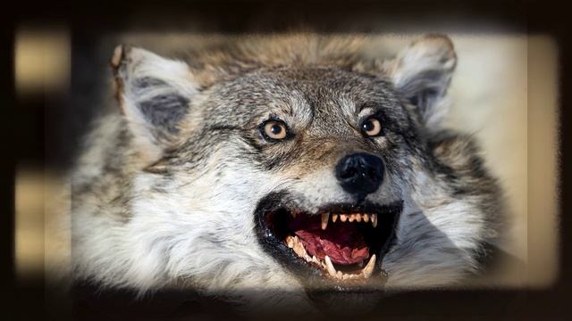 Зимняя рыбалка