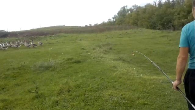 Дема рыбалка Давлеканово рыбалка и детская площадка смотреть онлайн