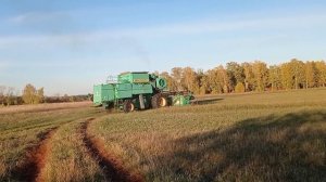 Молотим люцерну на семена комбайном Дон-1500Б