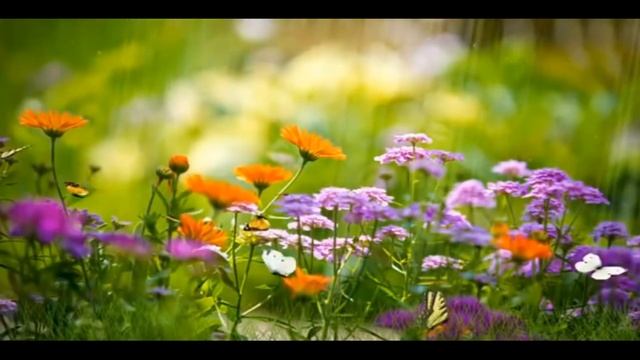 МАНТРА ОТ СГЛАЗА И ПОРЧИ ЛЕЧИТ ВСЕ!!!!!