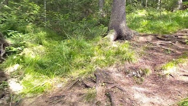 Река ЧУСОВАЯ и село Слобода. Прогулка на один день из Екатеринбурга