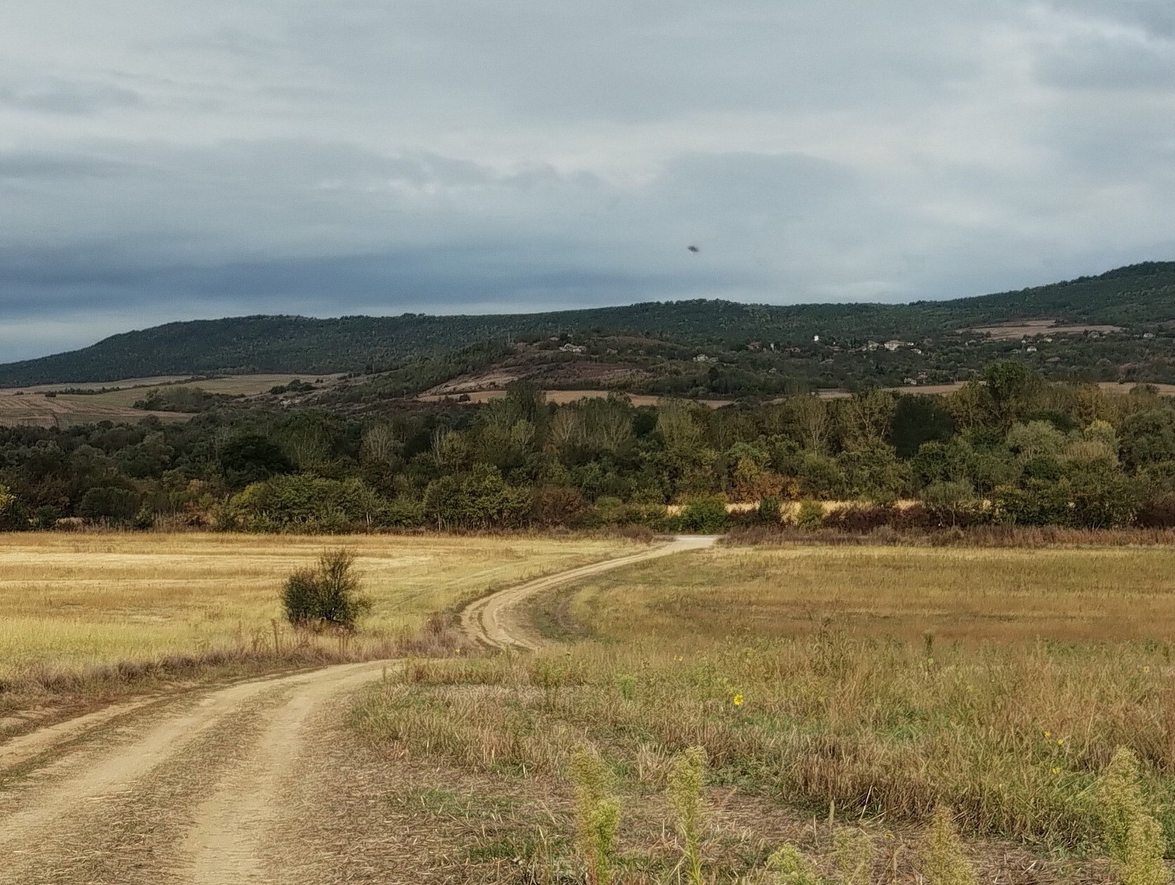 В СЪРЦЕТО НА БЪЛГАРИЯ /част 126/. Горско Ново село, община Златарица