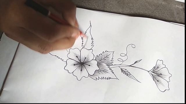 Beautiful flower pencil drawing