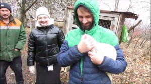 Экопарк "Олений остров" в Татищево)