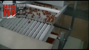Расколка Фундука. Hazelnut Cracking Machine Processing.  Walnuts Broker #HazelnutMachineProcessing